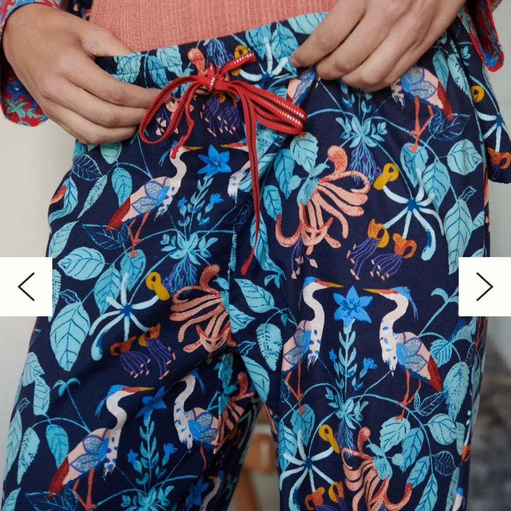 Anthropologie Rachel Grant Feathered Friends Flannel Sleep Pants NWT size s